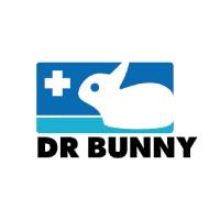 Dr Bunny