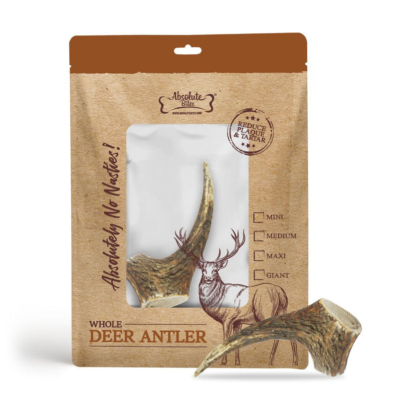 Absolute Bites Whole Deer Antlers Dental Chew Medium