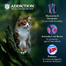 Addiction Cat Adult Chicken Supreme Grain-Free 4lb