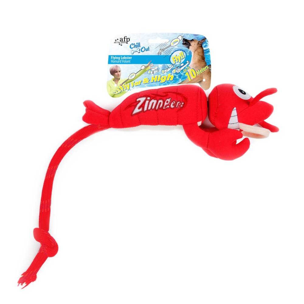 All For Paws Chill Out Zinngers Flying Lobster