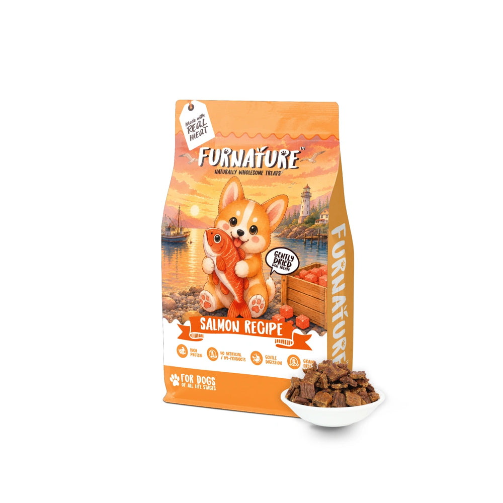 Furnature Natural Wholesome Gently Dried Salmon Recipe Dog Treats 200g