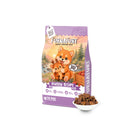 Furnature Natural Wholesome Gently Dried Venison Recipe Dog Treats 200g