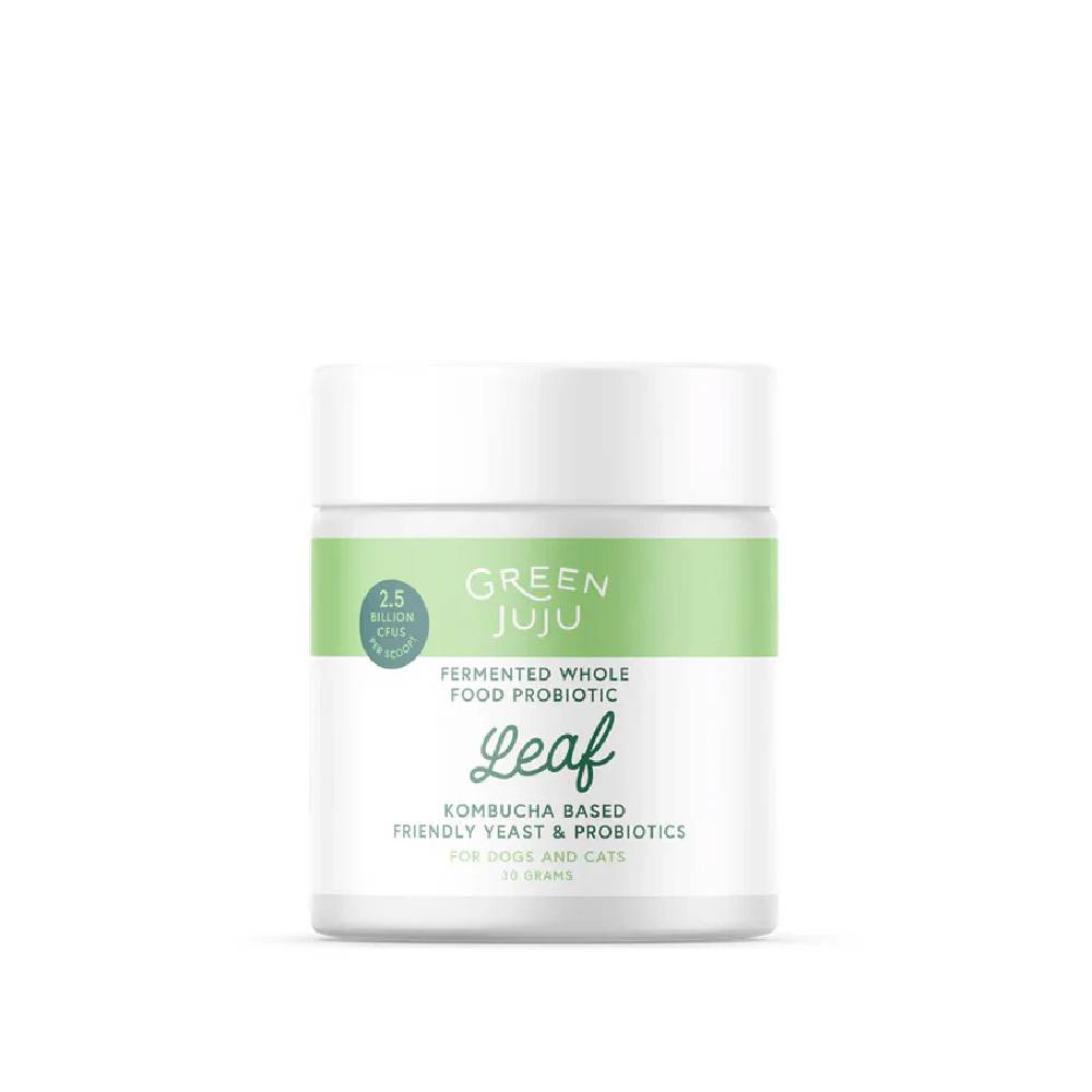 Green Juju Leaf Fermented Kombucha-Based Probiotic 30g