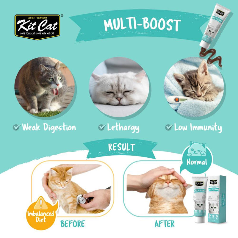 KitCat Cat Multi-Vitamin Supplement Gel 120g