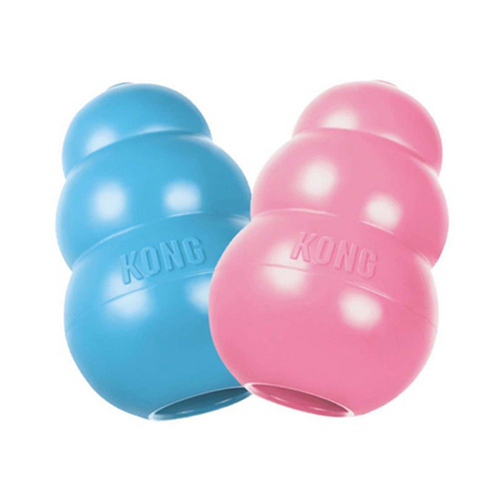 Kong Puppy M (KP2)