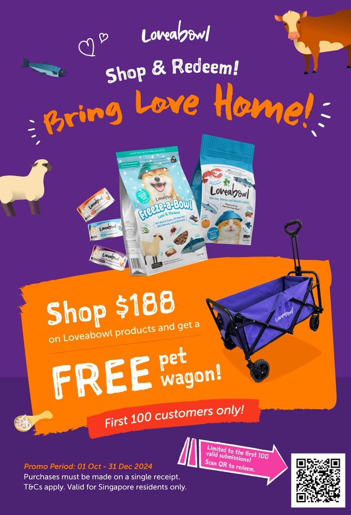 Online Retail Pet Shop Polypet Singapore