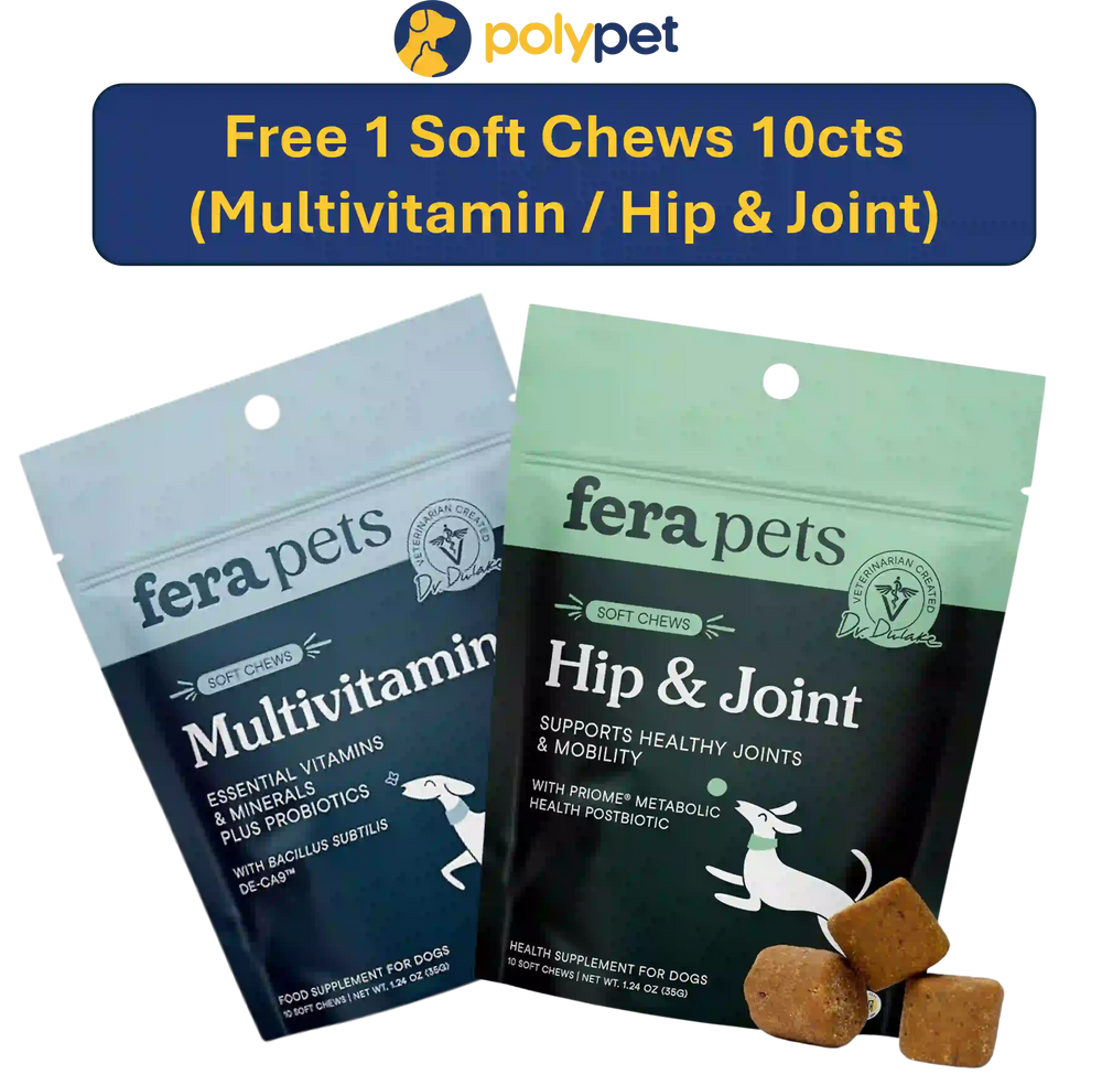 MISC FOC Fera Pets Dog Soft Chews 10cts (Random)