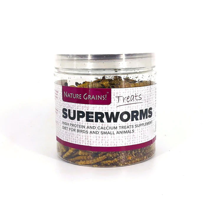 Nature Grains Treats Superworms 550ml