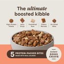 Instinct Dog Peak Boost Grain-Free High-Protein Recipe with Real Salmon 17lb