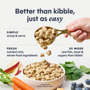 Instinct Cat FreshDried Raw Meals Freeze-Dried Surf & Turf Recipe 9oz