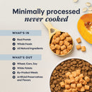 Instinct Cat Raw Boost Mixers Freeze-Dried Digestive Health 5.5oz