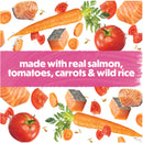 Beneful IncrediBites for Small Dogs Salmon with Gravy 85g x 3