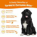 Zesty Paws Turmeric Curcumin Bites Multifunctional Bacon Flavor 90soft chews
