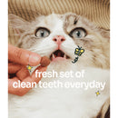 Notti Plaque Control Dental Crunch Cat Treats 80g