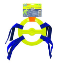 Nylabone Ring Thing