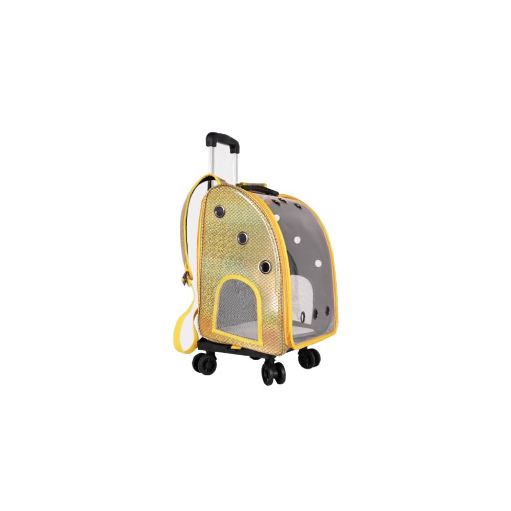 10kg backpack best sale