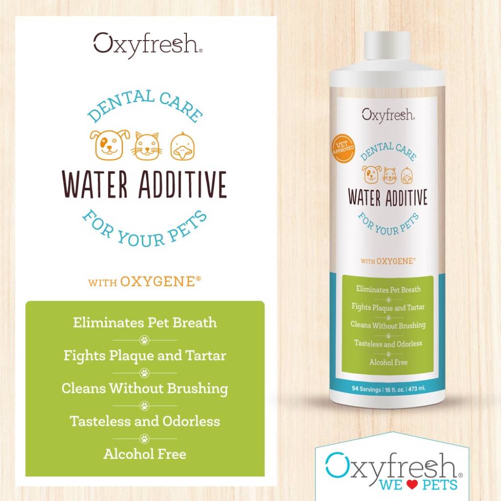 Oxyfresh Dental Care Water Additive for Pets 100ml