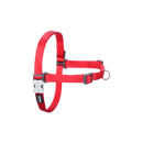 Red Dingo Dog No-Pull Harness - Red S/M