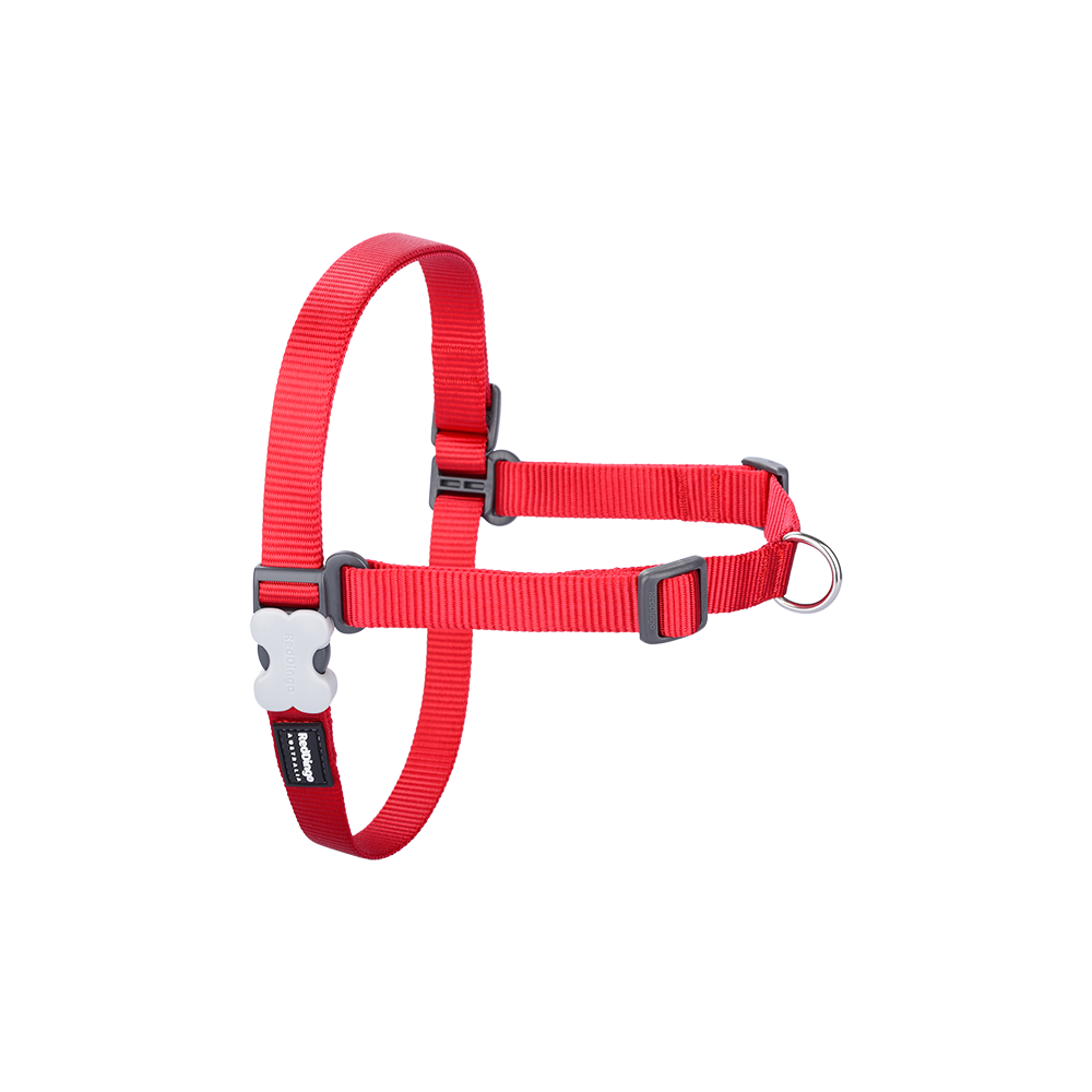 Red Dingo Dog No-Pull Harness - Red M/L