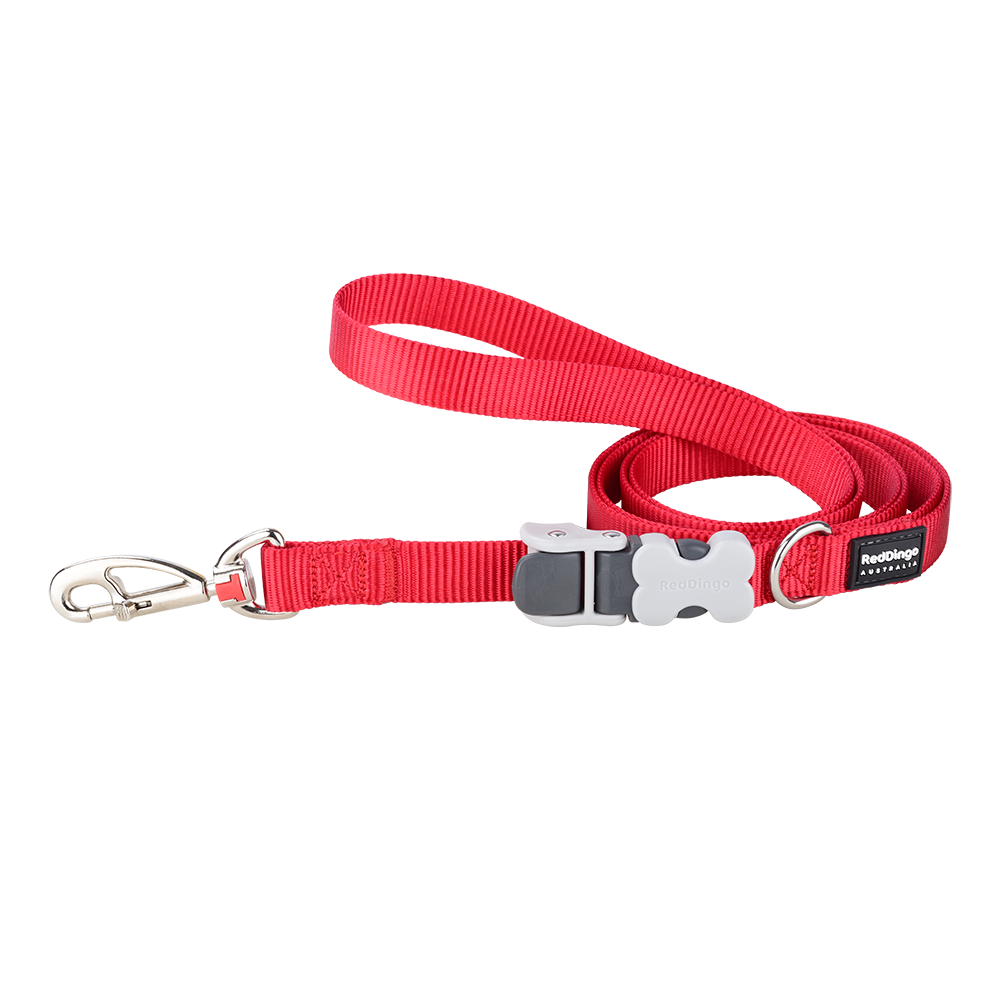 Red Dingo Dog Super Lead Classic Red S