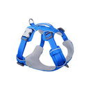 Red Dingo Sport Harness Electric Blue L