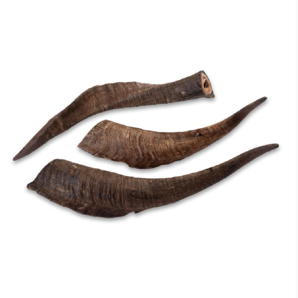 Scott & Dan's Goat Horn Large with Marrow 20-25cm 1pc