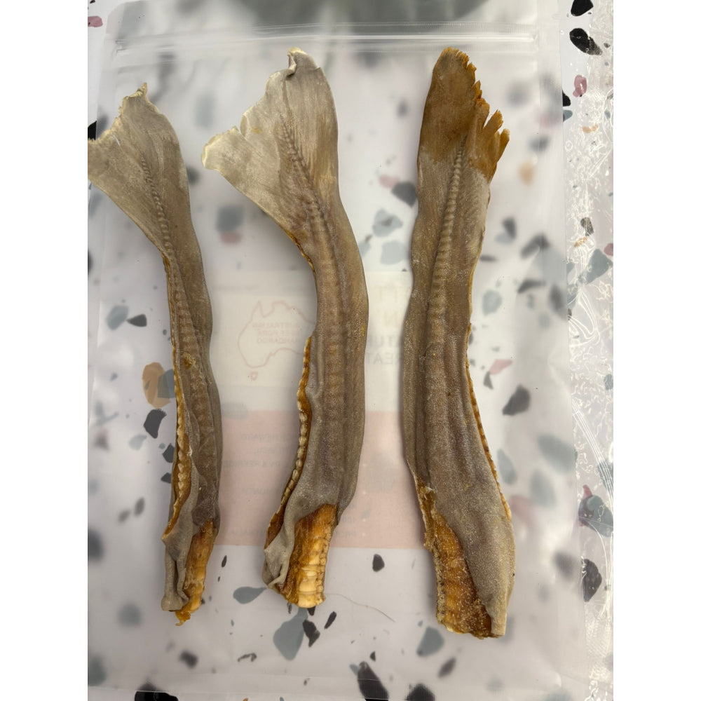 Scott & Dan's Shark Cartilage Tail (S) 3pcs