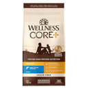 Wellness Cat Core Indoor: Salmon & Herring Grain-Free Dry Cat Food 5lb
