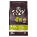 Wellness Dog Core Healthy Weight Turkey & Chicken Grain-Free Dry Dog Food 12lb