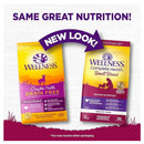 Wellness Dog Complete Health Grain-Free Small Breed Deboned Turkey, Chicken & Salmon Meal Dry Dog Food 4lb