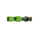 Zee.Dog Collar Lords of Zee.Town Manifesto M