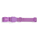 Zee.Dog Collar Neopro Ultra Violet M