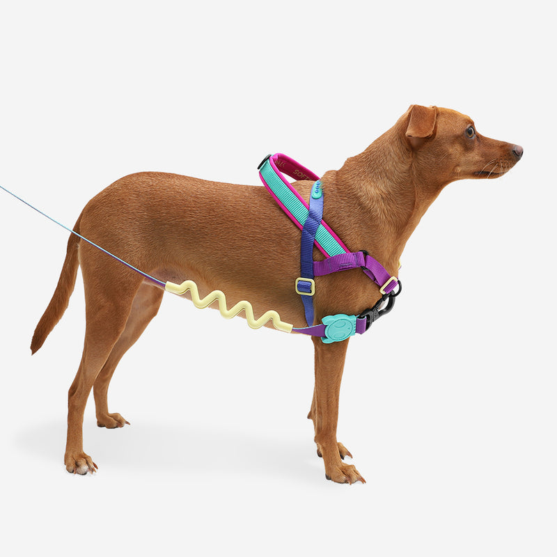 Zee.Dog Softerwalk Antipull Harness Shockwave L