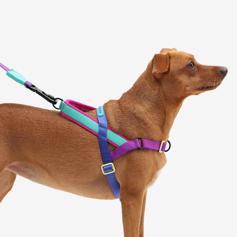 Zee.Dog Softerwalk Antipull Harness Shockwave L