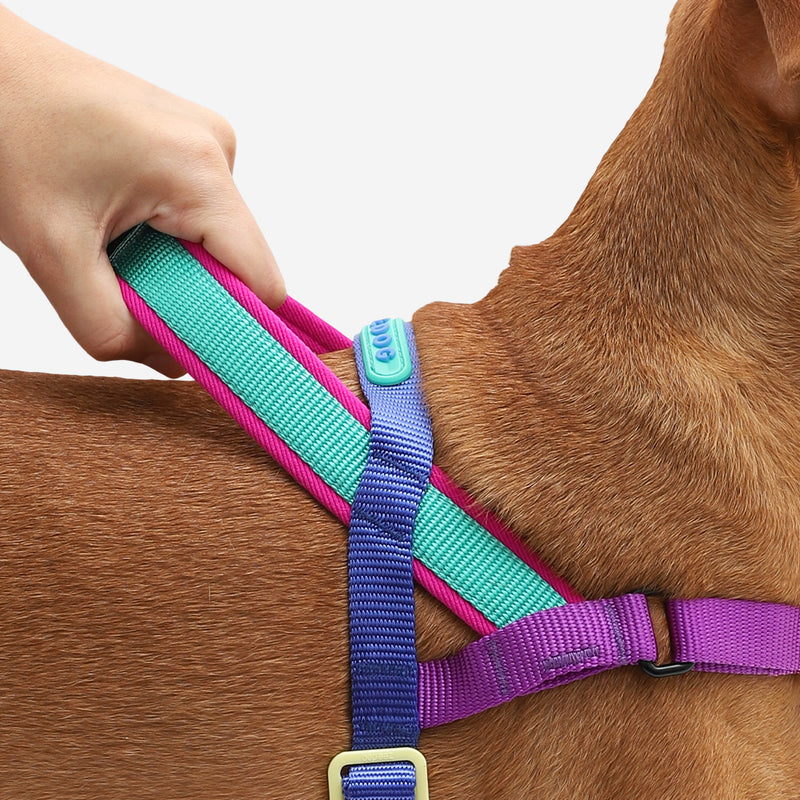 Zee.Dog Softerwalk Antipull Harness Shockwave L