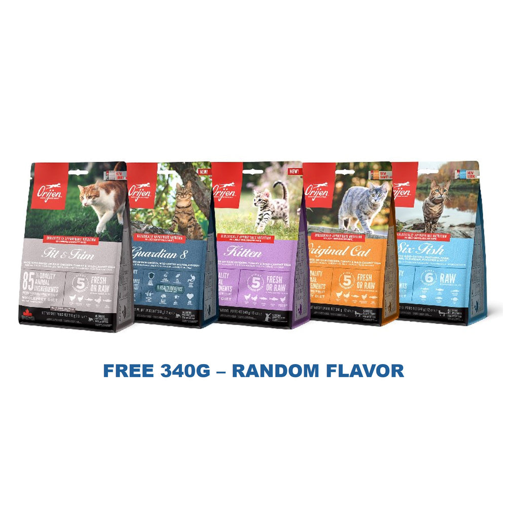 MISC FOC Orijen Cat 340g (Random Flavor)