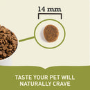 Acana Freeze-Dried Coated Senior Dry Dog Food 2kg