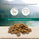 Addiction Dog Grain-Free MEGA for Medium to Large Dogs 44lb