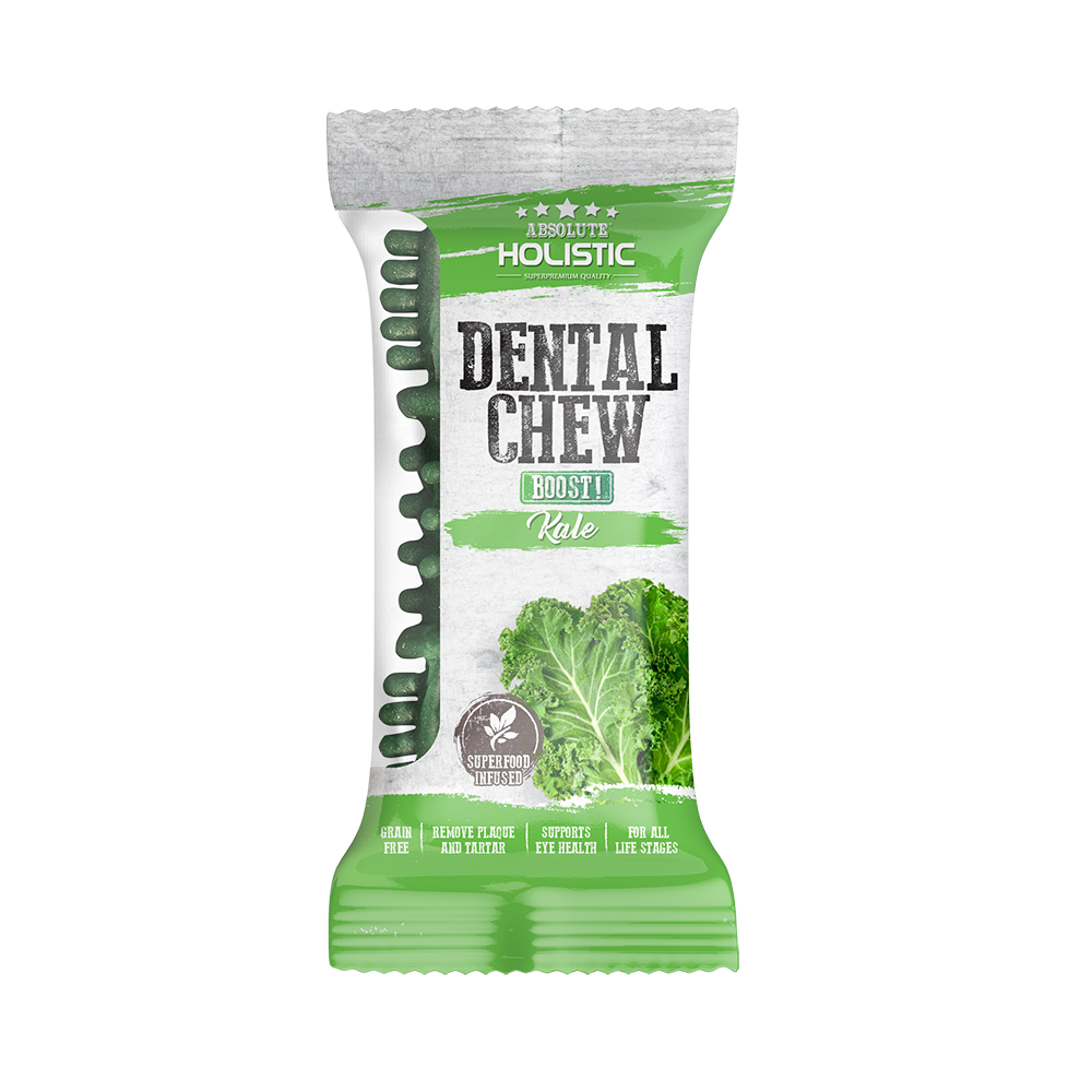 Absolute Holistic Dog Boost Dental Chew Kale 25g (4")