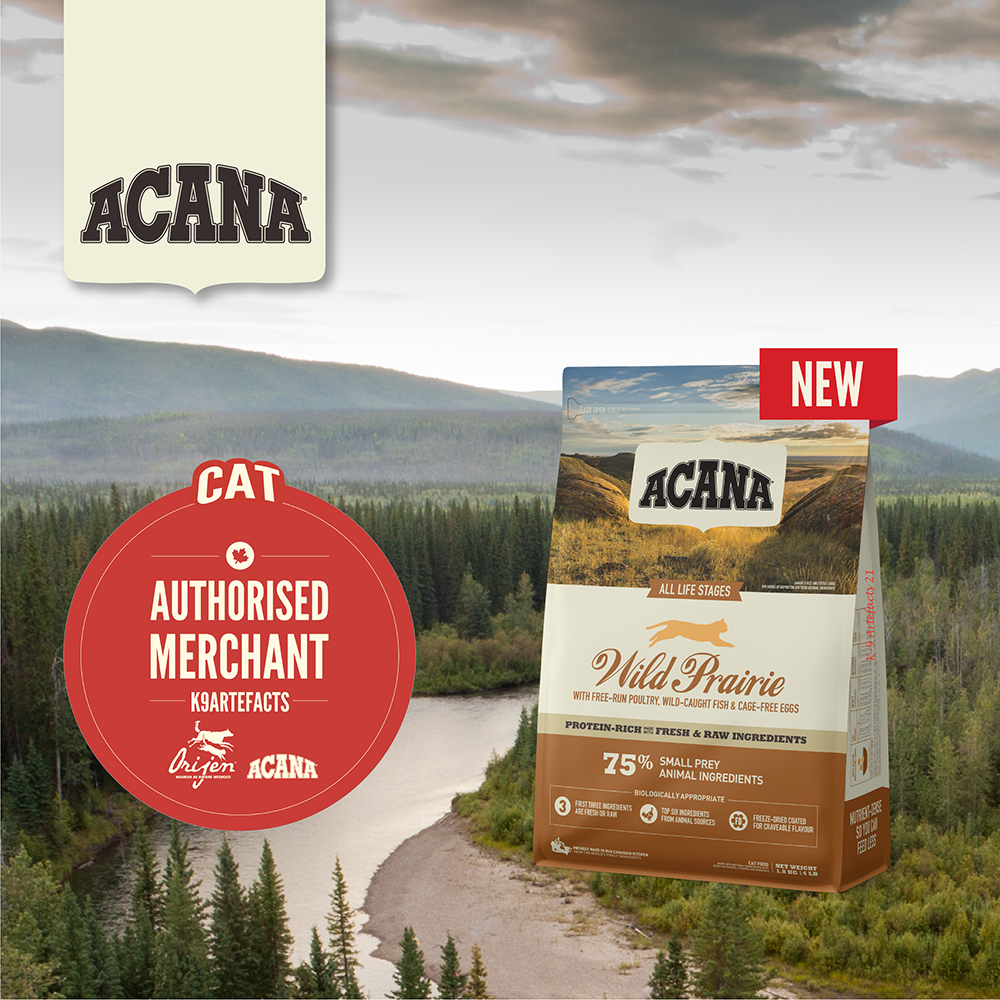 Acana Regional Wild Prairie Cat & Kitten Dry Cat Food 340g
