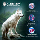 Addiction Dog Grain-Free Wild Kangaroo & Apples 4lb