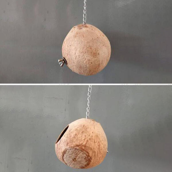 Bengy Coco-Hut 5 1/4" x 5 1/4"