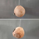 Bengy Coco-Hut 5 1/4" x 5 1/4"
