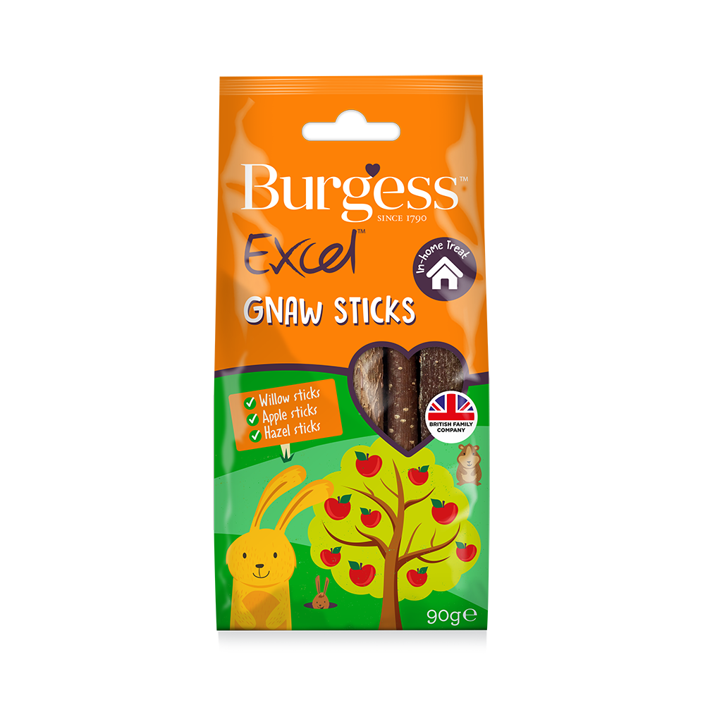 Burgess Excel Gnaw Sticks 90g