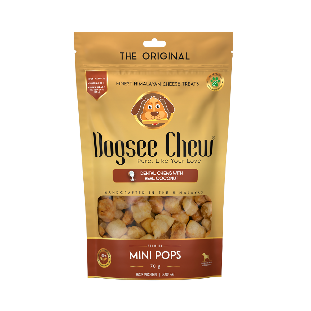 Dogsee Dog Chew Mini Pops Dental Treats with Real Coconut 70g