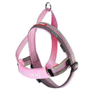EzyDog Quick Fit Harness Candy Extra Large