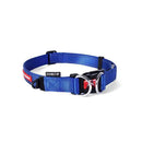 EzyDog Double Up Collar Blue Small