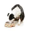 Fuzzyard Pet Bowl Melamine Ink'd Up M