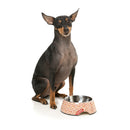 Fuzzyard Pet Bowl Melamine Daily Grind S