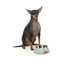 Fuzzyard Pet Bowl Melamine You Drive Me Glazy S